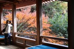 三滝寺散歩