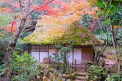 三滝寺散歩