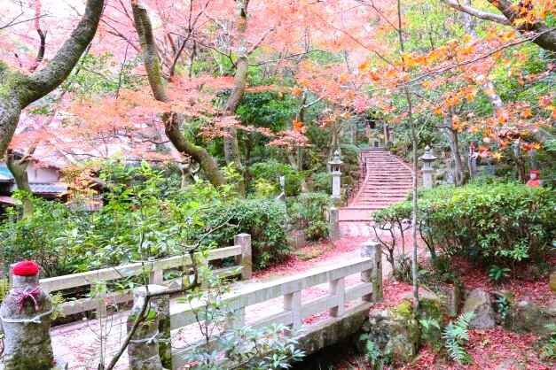 三滝寺　紅葉