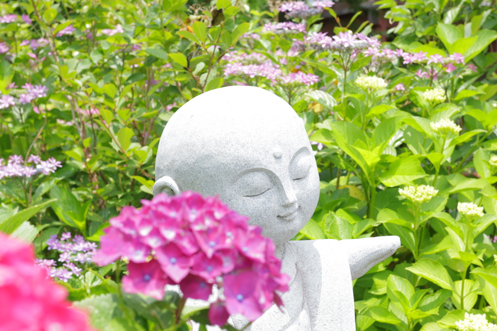紫陽花とお地蔵さん
