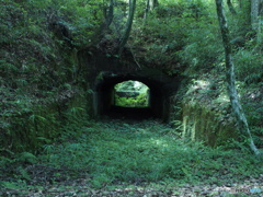 ジブリ感を感じる景色〜曽木の滝　導水路跡〜
