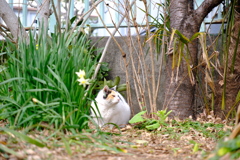 いつもの公園で