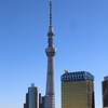 TOKYO-SKYTREE