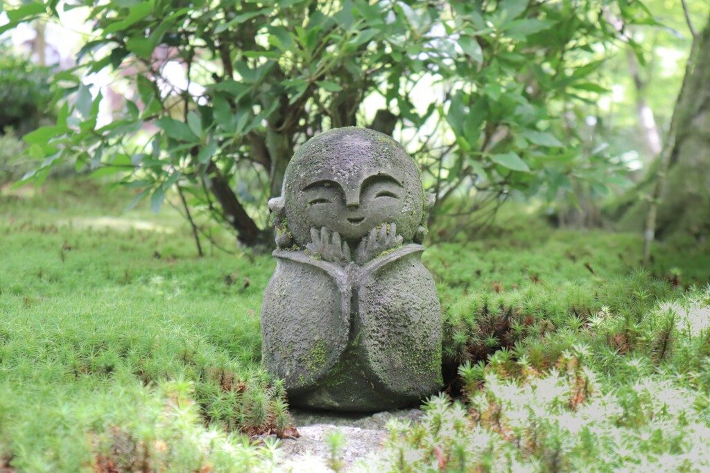ほほえみ