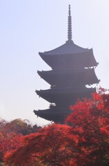 秋の東寺へ