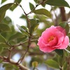 春を感じて　４