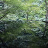 嵐山祐斎亭　リフレクション