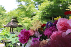 京都　勝林寺の花手水２
