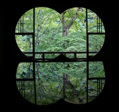 静かな緑