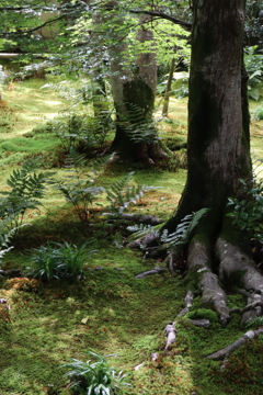 嵐山　散策