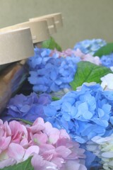 あじさい花手水