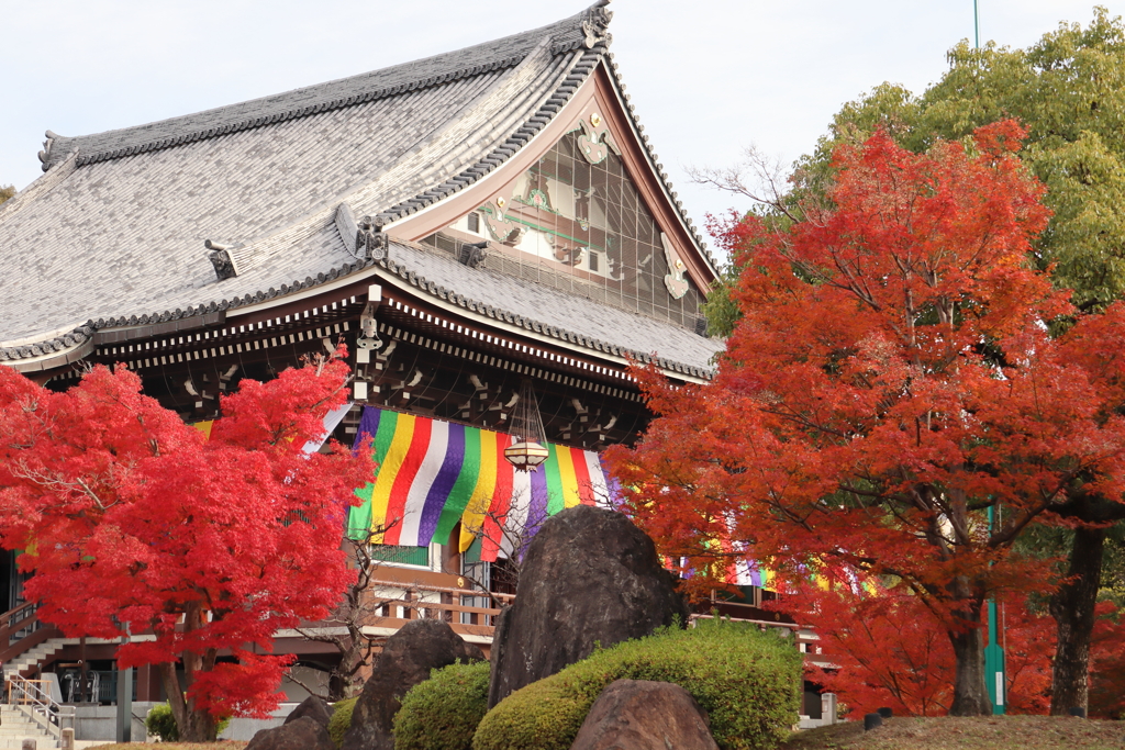 京都　紅葉めぐり