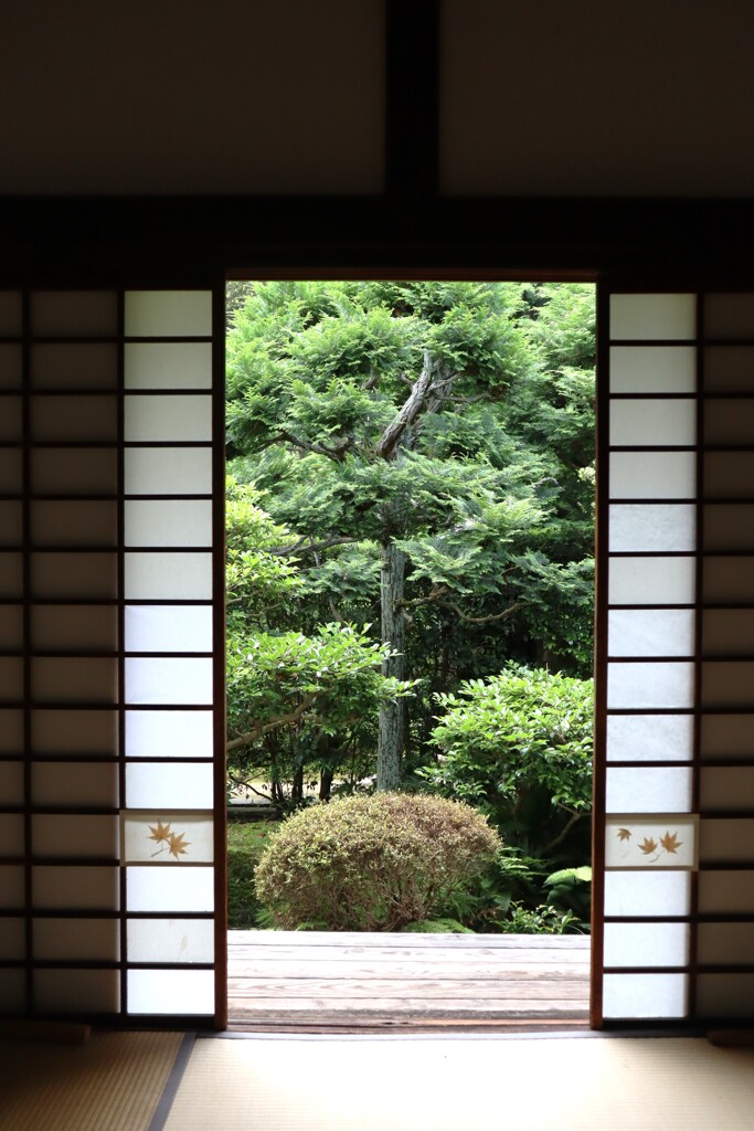 京都　雪舟寺にて1