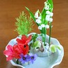 庭先の小さな花々