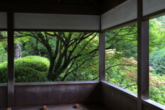 緑の窓