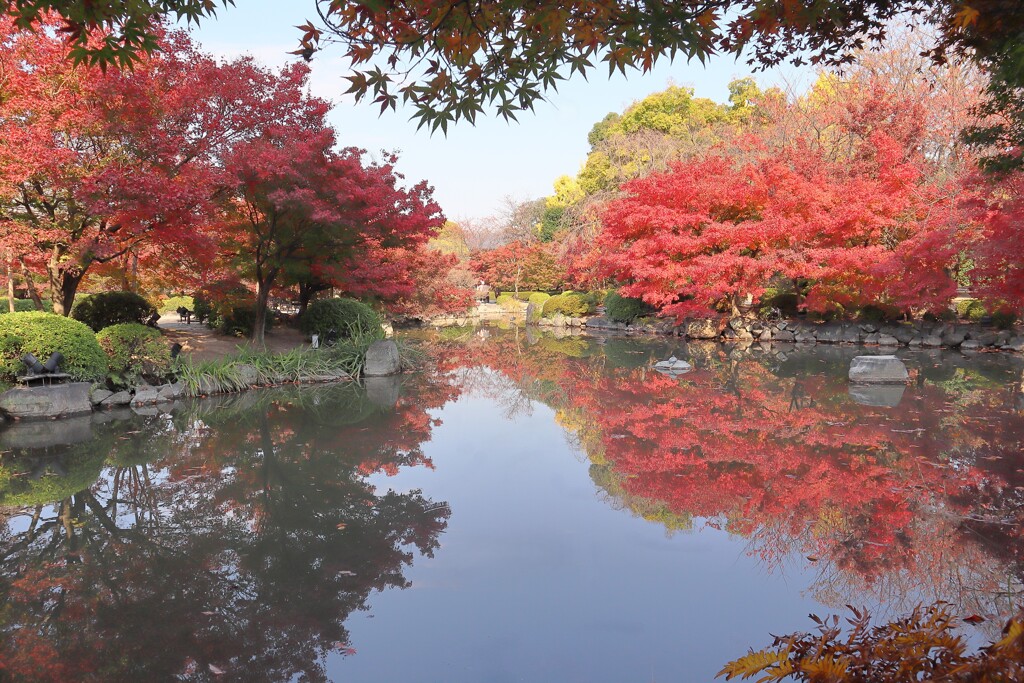 秋の東寺へ