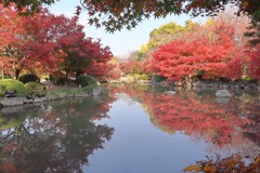 秋の東寺へ