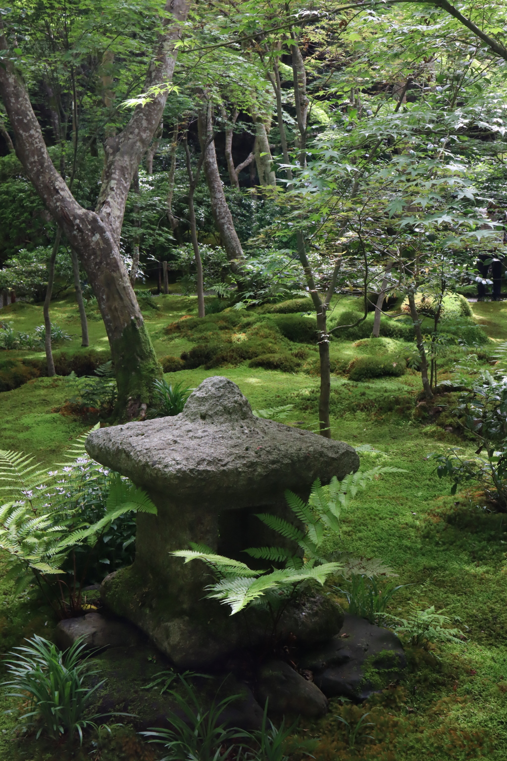 嵐山　散策