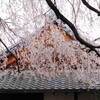 降り注ぐ
