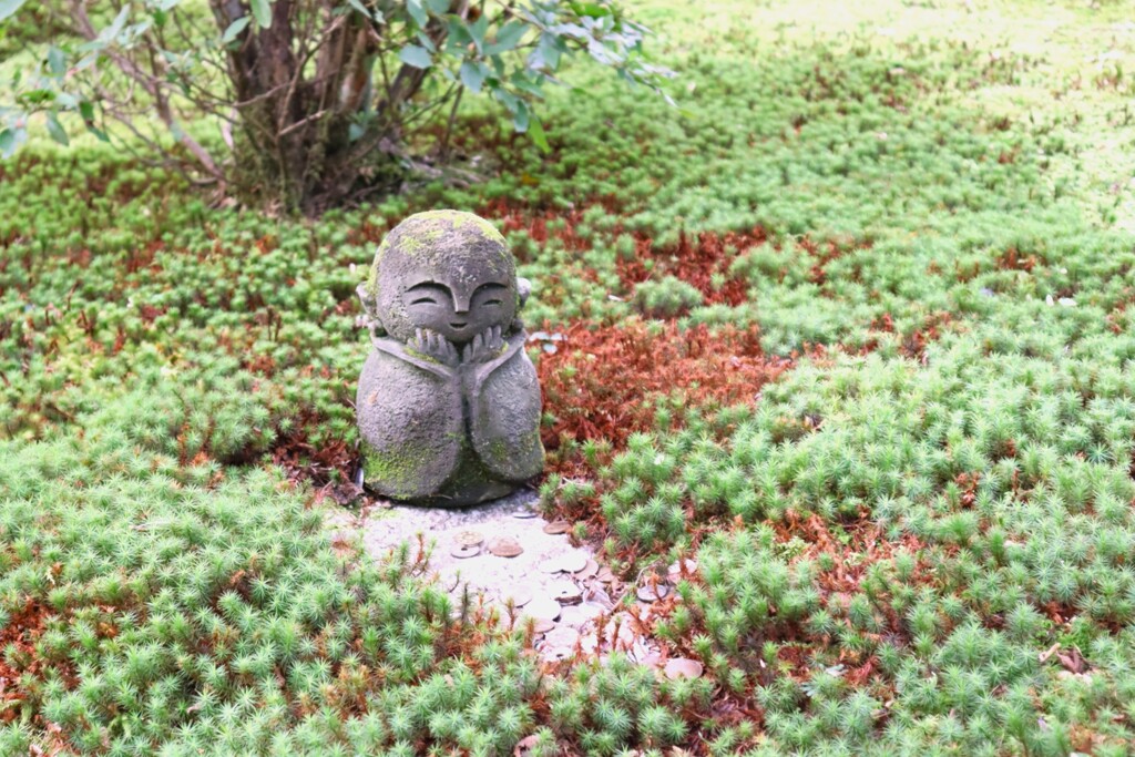 また会えた