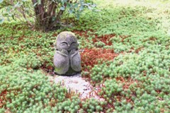 また会えた