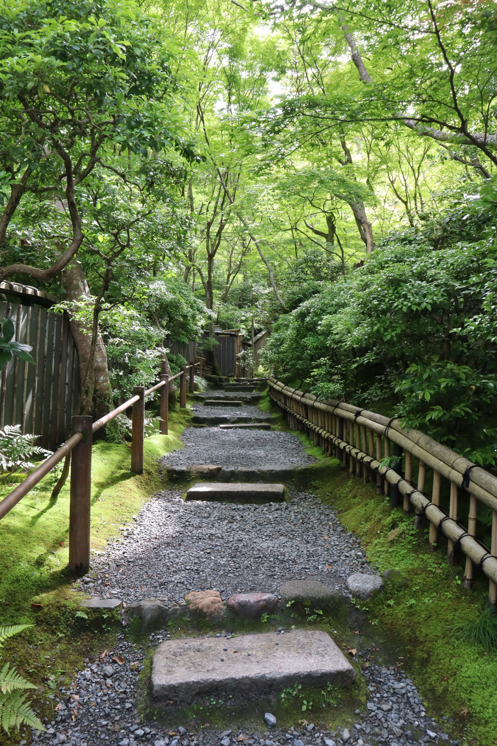 嵐山　散策