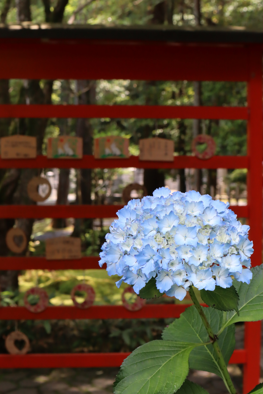 京都　新善光寺にて2