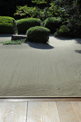 静かな庭
