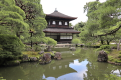 銀閣寺　参拝