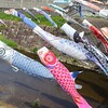 こどもの日　みんなの幸せを願って