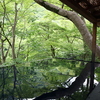 嵐山祐斎亭　リフレクション