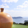 海を見つめる