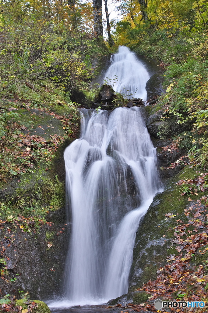 山形県鮭川村　白猿の滝