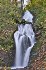 山形県鮭川村　白猿の滝