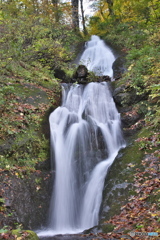 山形県鮭川村　白猿の滝