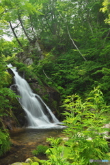 岩手県岩泉町　皆ノ川大滝