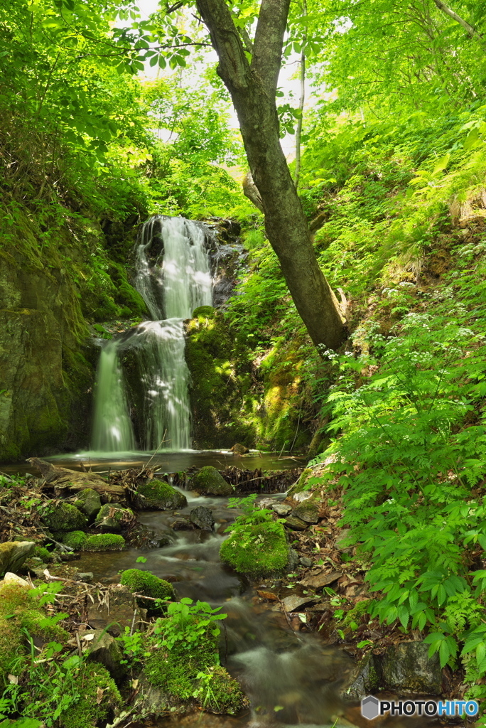 岩手県岩泉町　いわなぶちの滝