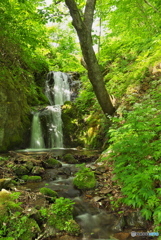 岩手県岩泉町　いわなぶちの滝