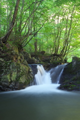 岩手県葛巻町　外川川大滝