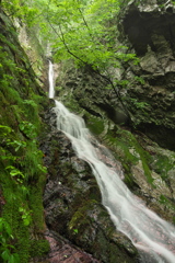 岩手県宮古市　布引白糸の滝