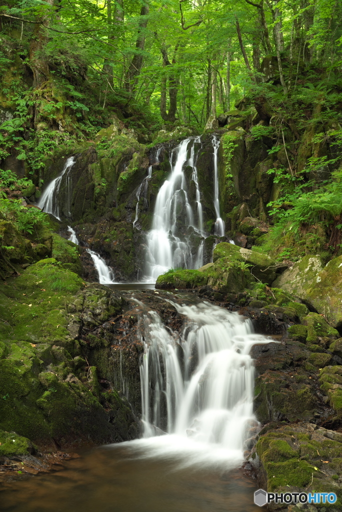 岩手県遠野市　藤沢川奥川瀬滝1