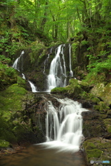 岩手県遠野市　藤沢川奥川瀬滝1