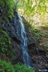 岩手県住田町　四十八滝龍灯の滝2