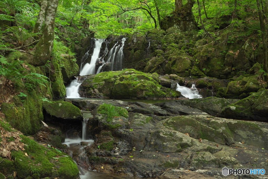 岩手県遠野市　藤沢川明神ノ滝