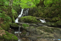 岩手県遠野市　藤沢川明神ノ滝