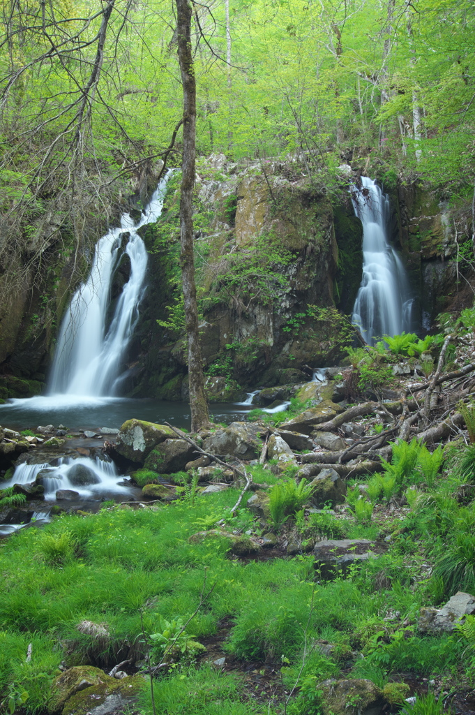 岩手県遠野市　藤沢川應滝