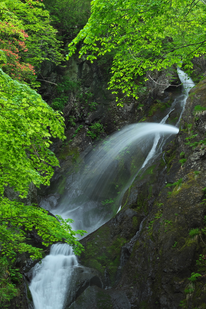 岩手県花巻市　七折の滝