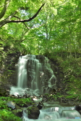 秋田県鹿角市　錦見の滝2