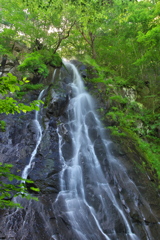 岩手県葛巻町　七滝沢七滝