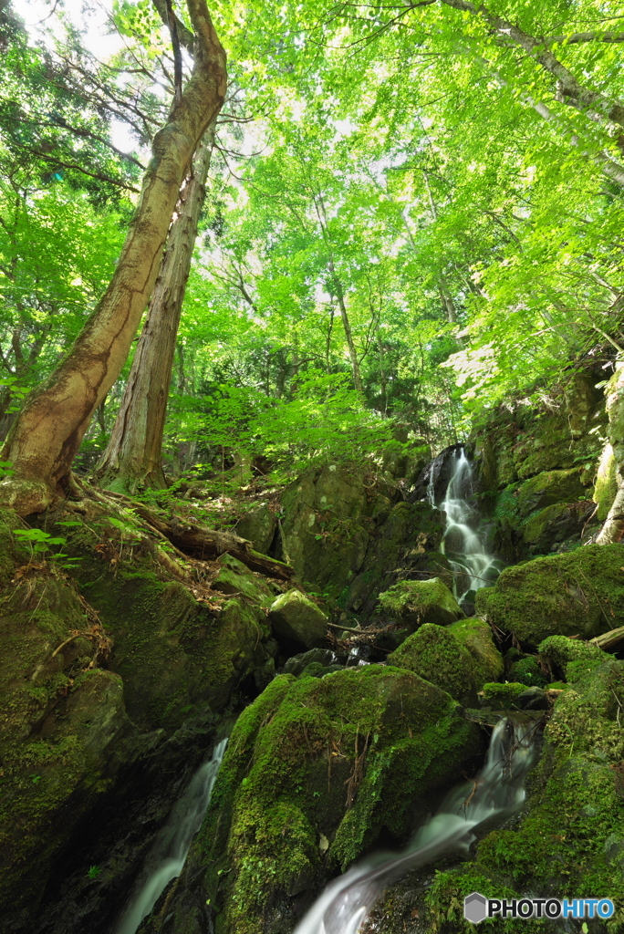 岩手県大船渡市　黒巣滝